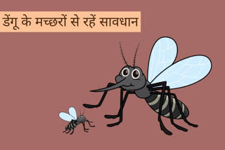 मच्छरों से रहें सावधान, what is dengue, how to prevent dengue, what are the symptoms of dengue, what causes dengue, which mosquito causes dengue, mosquito borne diseases, monsoon diseases