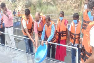 Fish farming started in ponds of closed stone mines in Dumka