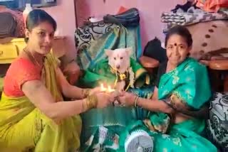 Bagalkote baby shower program for dog