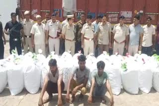 hodal police arrested three drug smuggler