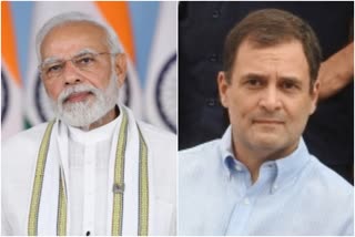 Rahul asks PM to address concerns of those affected by SC order on ESZs