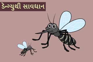 જાણો ડેન્ગ્યુના લક્ષણો અને તેનાથી બચવામાં માટેના ઉપાયો...