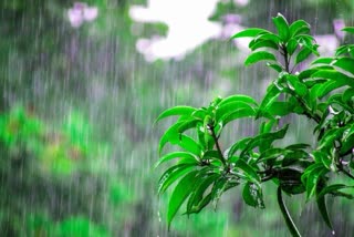 heavy rain in Uttarakhand