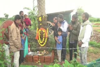 Ganapa on tree in Chikkamagaluru