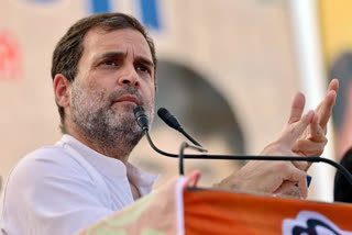 IYC protests in Delhi demanding arrest of SFI members who vandalised Rahul Gandhi's Wayanad office