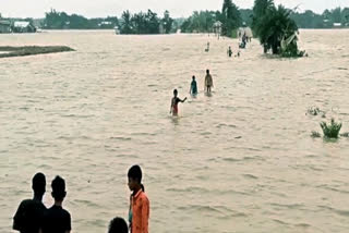 Assam flood situation grim, Silchar submerged for sixth day