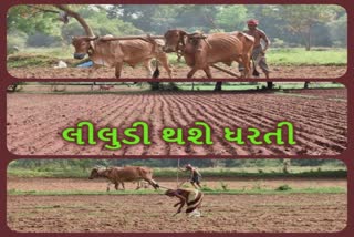 Sowing started in Karjan : મહેનતની મોસમ આવી જિલ્લામાં વાવણી કાર્ય પૂરજોશમાં