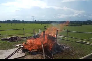 burning of seized narcotics in bishwanath