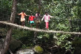 adivasis make temporary bamboo bridge in idukki  temporary bamboo bridge in mankulam  മാങ്കുളം ആദിവാസികള്‍ താത്‌കാലിക പാലം  മാങ്കുളം പ്രളയത്തില്‍ പാലം തകര്‍ന്നു  കള്ളക്കുട്ടിക്കുടി പാലം ആദിവാസികള്‍  ഇടുക്കി മുള പാലം