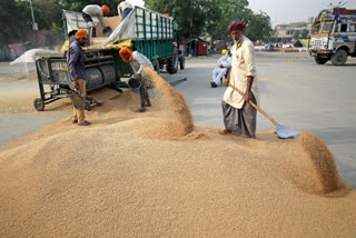 several countries since ban: Food Secy