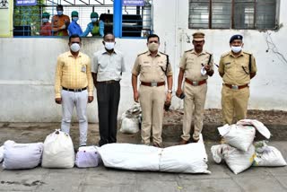 destroy-of-drugs-worth-rs-34-lakh-in-vijayapura