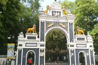 Toy Train in Udaipur