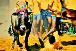 stands collapse during Colombian bullfight, Colombian bullfight incident, Colombian bullfight news, people died in Colombian bullfight, ಕೊಲಂಬಿಯನ್​ ಗೂಳಿ ಕಾಳಗದಲ್ಲಿ ಕುಸಿದು ಬಿದ್ದ ಮರದ ಸ್ಟ್ಯಾಂಡ್​, ಕೊಲಂಬಿಯನ್​ ಗೂಳಿ ಕಾಳಗದಲ್ಲಿ ದುರಂತ, ಕೊಲಂಬಿಯನ್​ ಗೂಳಿ ಕಾಳಗ ಸುದ್ದಿ, ಕೊಲಂಬಿಯನ್​ ಗೂಳಿ ಕಾಳಗದಲ್ಲಿ ಜನ ಸಾವು,