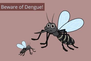 Dengue: Symptoms, complications and tips to prevent