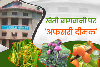 Directorate Of Horticulture And Food Processing Chaubatiya