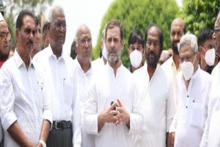 Rahul gandhi on Presidential elections 2022