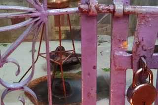 Betul farmer trick for rain filled Shiva Temple with water