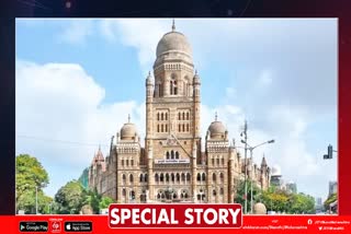 BMC Election News