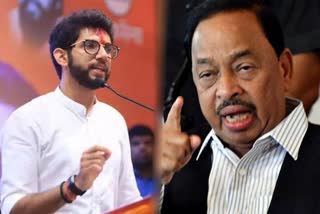 aaditya thackeray  narayan rane