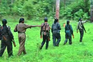 Maoists take firearms training from banned outfits to unleash terror