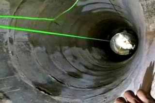 police rescue operation at Midnight to save a cat in Karimnagar, police rescue cat which fell into a well in Telangana, Karimnagar cat news, ಕರೀಂನಗರದಲ್ಲಿ ಬೆಕ್ಕನ್ನು ರಕ್ಷಿಸಲು ಮಧ್ಯರಾತ್ರಿ ಪೊಲೀಸರ ರಕ್ಷಣಾ ಕಾರ್ಯಾಚರಣೆ, ತೆಲಂಗಾಣದಲ್ಲಿ ಬಾವಿಗೆ ಬಿದ್ದ ಬೆಕ್ಕನ್ನು ರಕ್ಷಿಸಿದ ಪೊಲೀಸರು, ಕರೀಂನಗರ ಬೆಕ್ಕು ಸುದ್ದಿ,