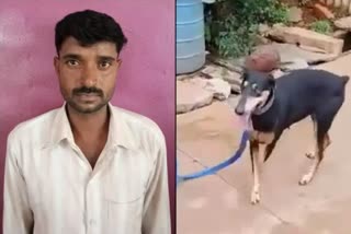 Accused find by dog Rape and Murder Case karnataka