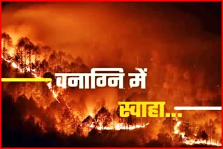 forest fire in himachal