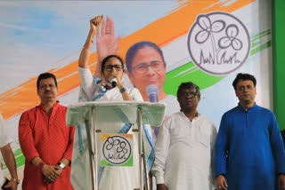 CM Mamata Banerjee