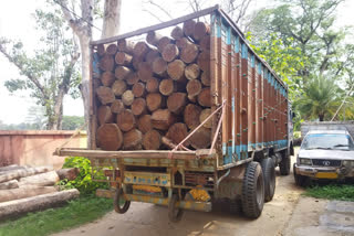 Wood smuggling in Simdega