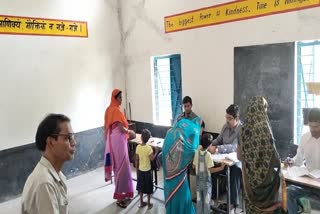 Polling in Gram Panchayats of Pandariya Block