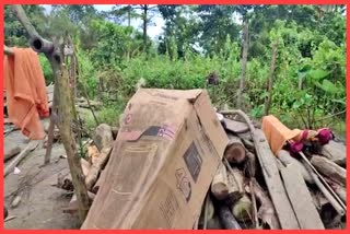 Dibru River erosion at Chabua in Dibrugarh