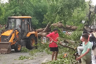 Heavy rain in Bharatpur