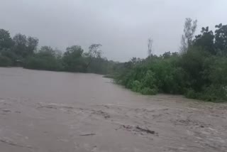 river Of Bhavnagar are flooded with rain water