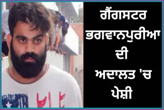 Gangster Jaggu Bhagwanpuria Tihar Jail in Sidhu Musa murder case update News