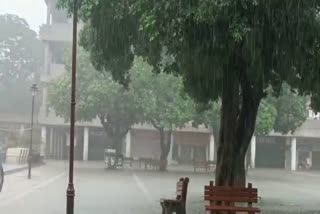 Weather Update of Haryana