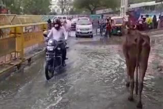 Mangal Bazar Road and MB Road are again in trouble due to sewer flow people of area are getting upset