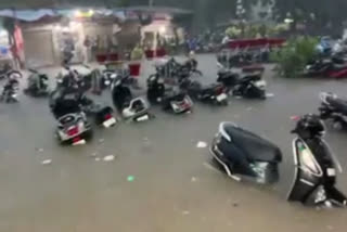 Heavy rain in many districts of MP