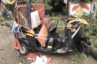 tree fell on top of a running autorickshaw  autorickshaw passengers injured  autorickshaw accident in alappuzha  ആലപ്പുഴ ഓട്ടോറിക്ഷ അപകടം  ഓട്ടോറിക്ഷയ്ക്ക് മുകളിലേക്ക് മരം വീണു