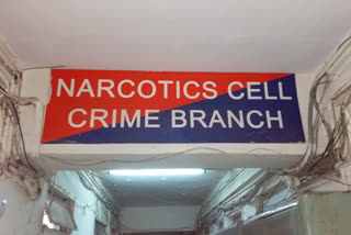 absconding-drug-peddler-arrested-by-narcotics-branch