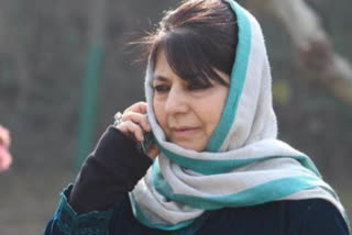 Unnecessary paranoia says Mehbooba Mufti on Amarnath Yatra security checks delaying livestock cargo