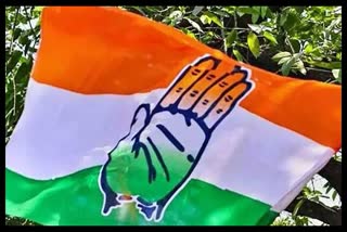 Himachal Congress Executive