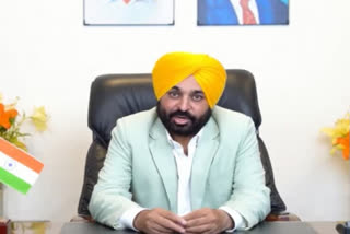 Punjab: CM Bhagwant Mann forms 3-member cabinet committee to draft bill to regularize contractual employees