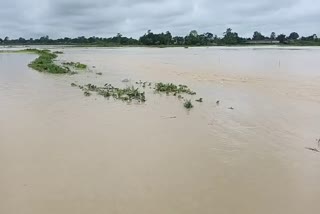 Flood in sonitpur