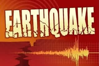 Mild tremors felt in Karnataka's Kodagu and Dakshina Kannada districts