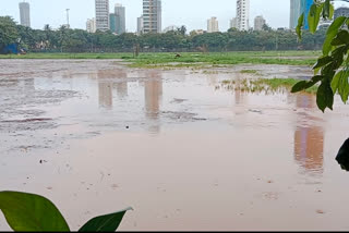 Orange alert issued by Meteorological Department in Mumbai