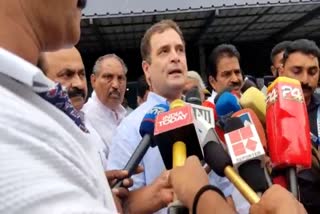 kl_kkd_01_07_rahul_byte_7203295  നുപൂര്‍ ശര്‍മ  Supreme Court criticism against Nupur Sharma  Rahul Gandhi welcomes Supreme Court criticism against Nupur Sharma  നബി വിരുദ്ധ പരാമര്‍ശം  രാഹുൽഗാന്ധി  ബിജെപിയെ വിമര്‍ശിച്ച് രാഹുല്‍ ഗാന്ധി