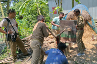 Illegal saw mill seized at Kalgachia