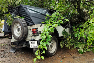 tree fell on a jeep in Myladumpara Idukki  ഇടുക്കി മൈലാടുംപാറയിൽ ജീപ്പിന് മുകളിൽ വൻമരം വീണ് അപകടം  ഇടുക്കി മഴ വാര്ത്ത  idukki rain updates  idukki weather news  ഇടുക്കി മൈലാടുംപാറ വാഹനാപകടം  ഇടുക്കി ജീപ്പ് അപകടം  idukki Myladumpara accident  idukki jeep accident