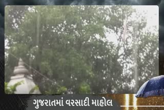 Rain in Junagadh : જુનાગઢ વિસ્તારમાં રીમઝીમ વરસાદથી ધરતીપુત્રોમાં છવાયો આનંદ
