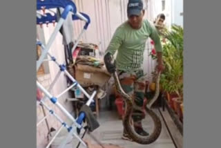 Giant python found in balcony on 2nd floor of house in Haridwar